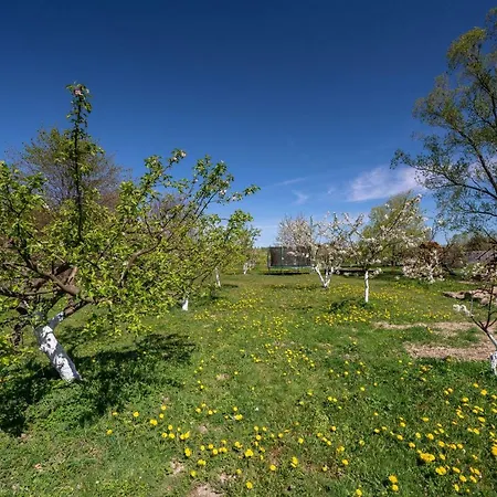 Bed & Breakfast Dom W Domu - Izera Glamping 3*