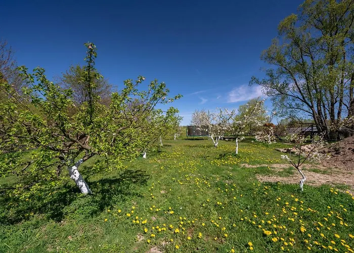 住宿加早餐酒店 Dom W Domu - Izera Glamping 3*